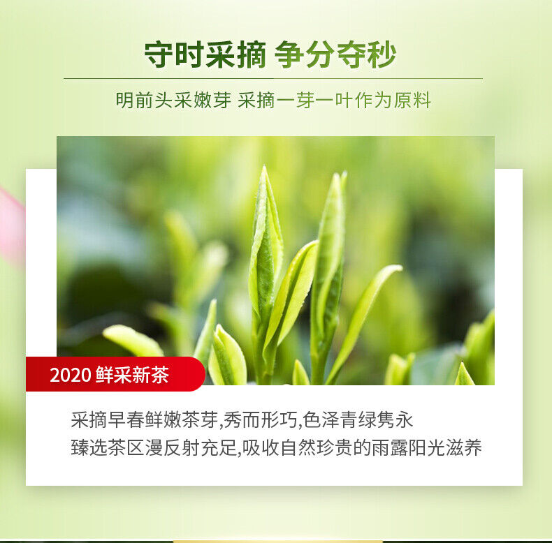 HelloYoung LEPINLECHA Ming Qian Silver Jar Que She Sparrow's Tongue Chinese Green Tea 100g