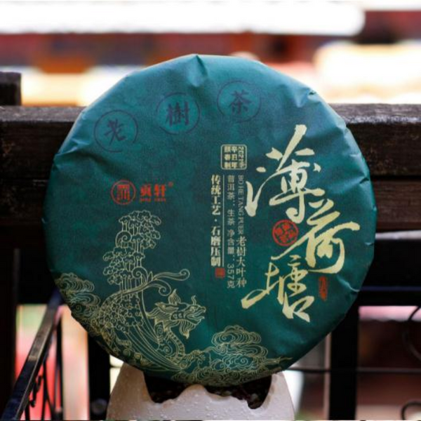 Gâteau au thé Pu'er du Yunnan Yiwu 357g thé cru Pu'er du début du printemps