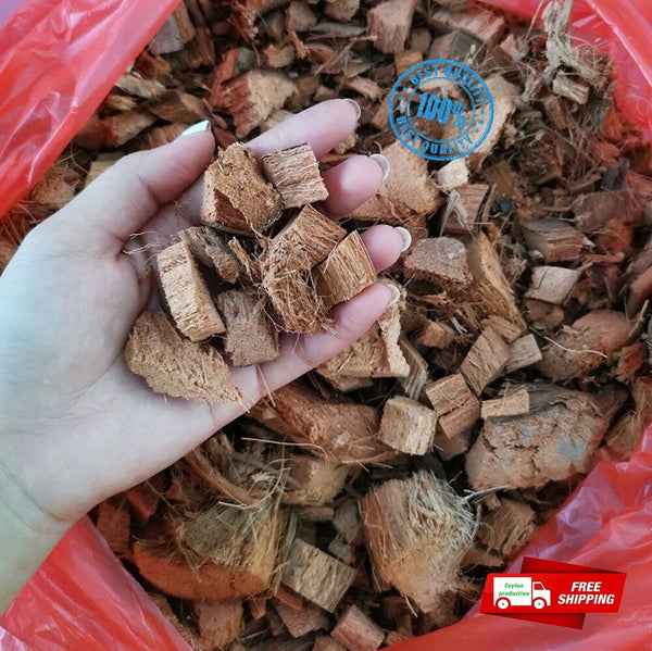 Organic Coconut Husk Chips 1-2cm Husk fiber Orchids Anthodium Growing Medium