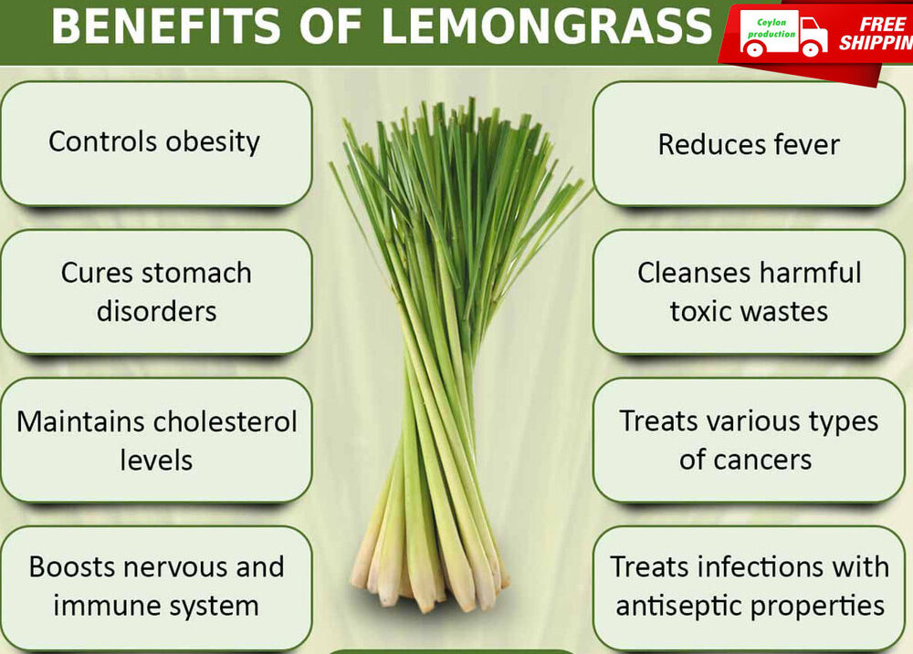 Dried organic Lemongrass leaf slices(2-3cm cut) For Enhance Flavor pure Natural