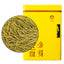 HelloYoung Chinese Huang Jin Ya Green Tea Golden Buds Green Tea 250g/can