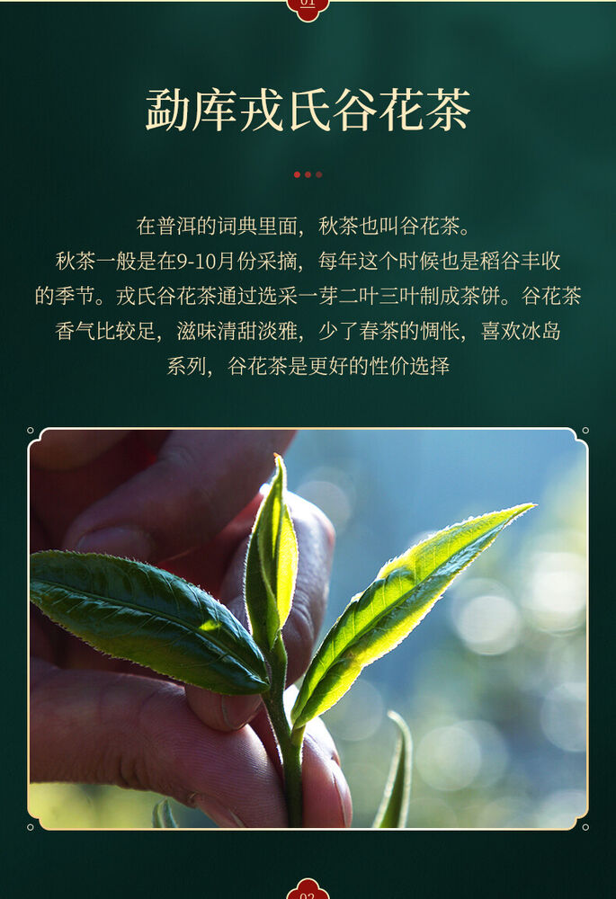 Valley Flowers Puer 2015 Mengku Rongshi Gu Hua Xiang Autumn Pu'er Tea Raw 200g