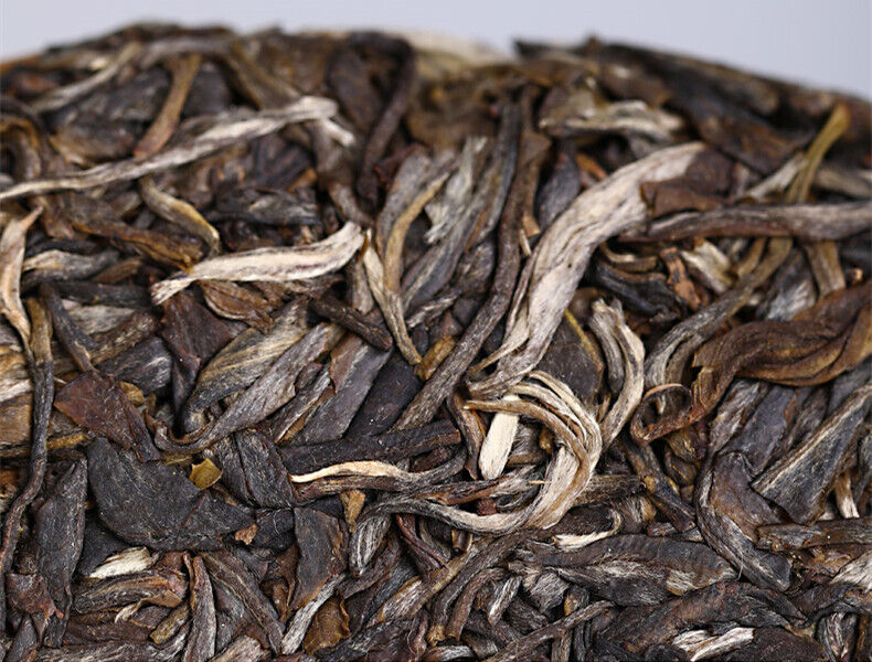 HelloYoung Haiwan High Mountain Ancient Tree Old Comrade Batch 191 Raw Puer Tea 500g