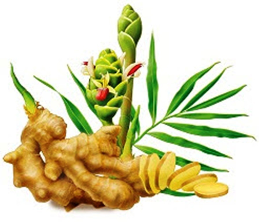 Natural Preserved Red Ginger Asian Chinese Snack Free Shipping Secondary image