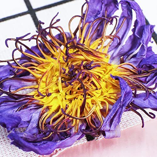 HelloYoung TEARELAE - Natural Blue Lotus Flower From Egyptian Water Lily 1.5 Oz/45g - Secondary image