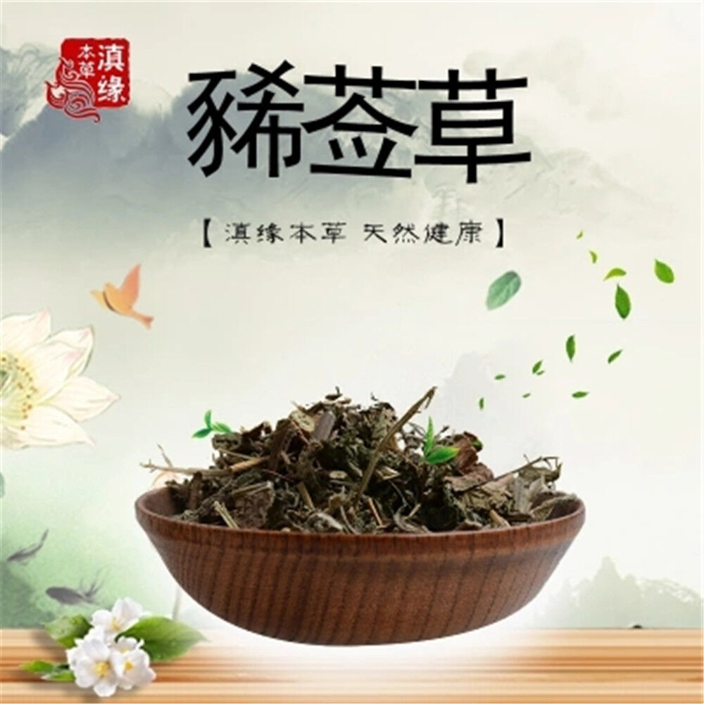Medicinal  Dried Xi Xian Cao (xi qian cao) /Siegesbeckia 100% Natural Main image