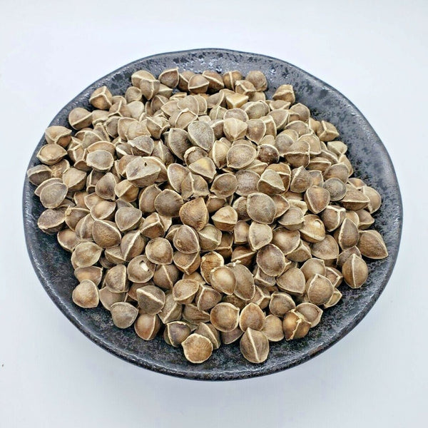 La Mu Zi Moringa oleifera Lam tea 1LB Chinese Herbal Moringa tree seeds  辣木籽