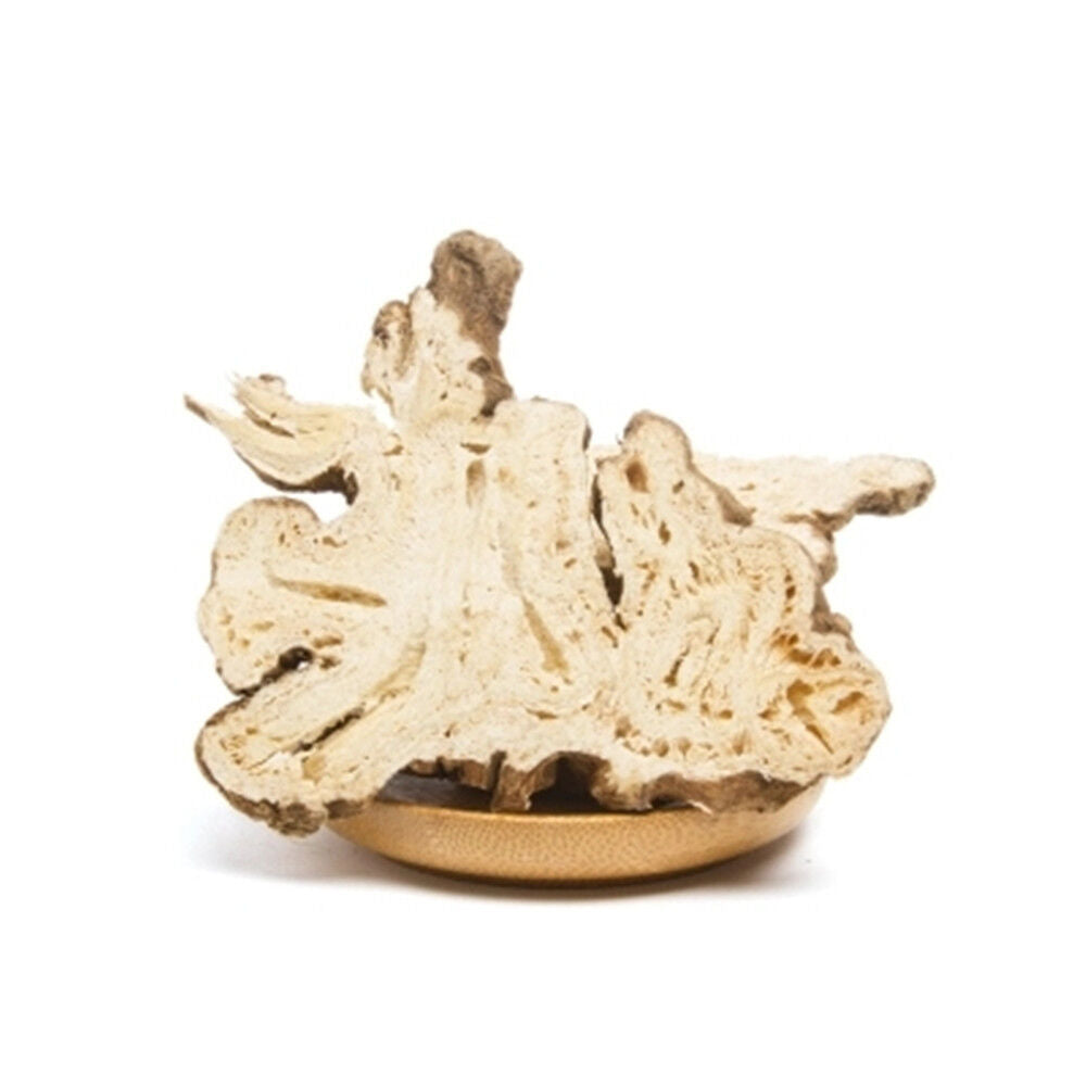HelloYoung 100% Natural Medicinal China Atractylodes Lancea Rhizome Dry Bulk Herbs Main image