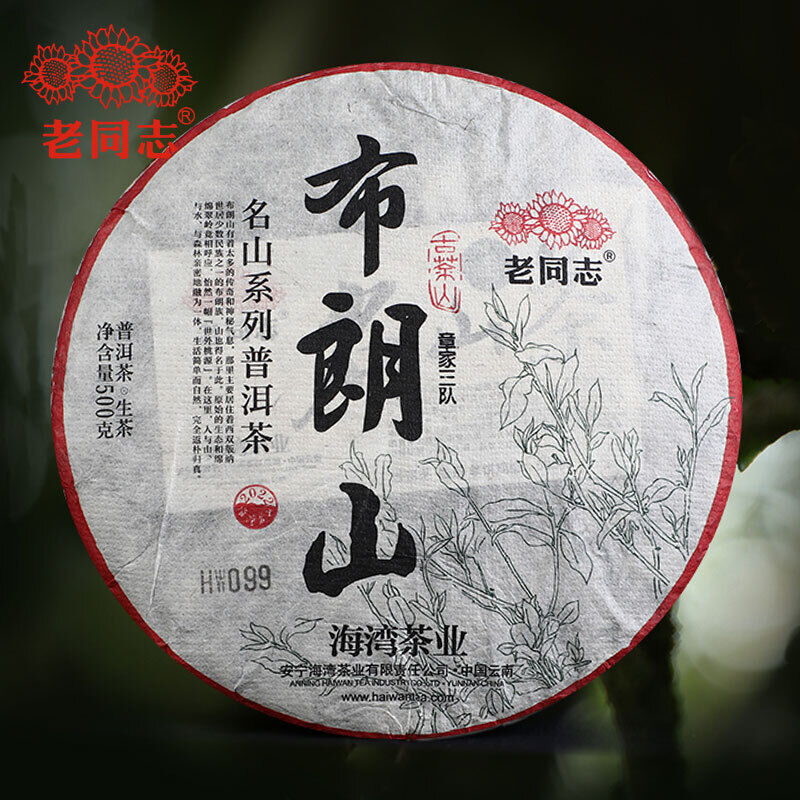 HelloYoung Haiwan Zhang Jia San Dui Raw Puer Tea Bulang Mountain Sheng Puerh 500g Main image
