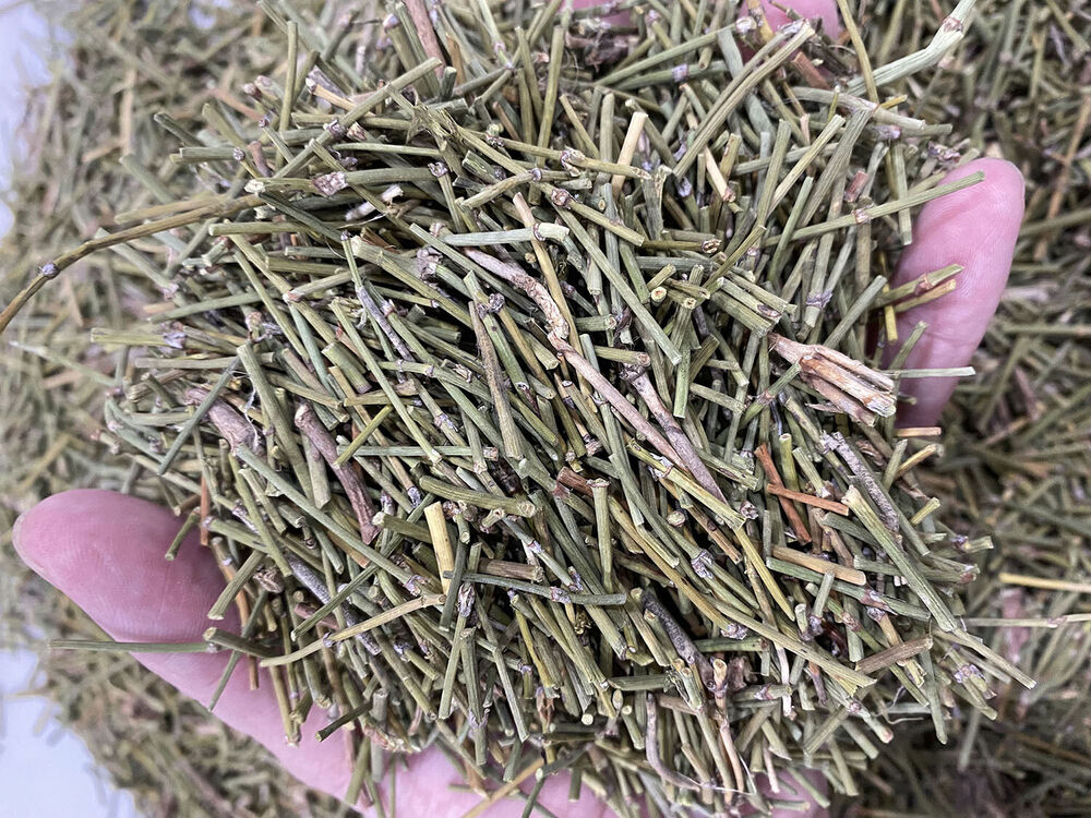 HelloYoung Newest Mo Mu Energy Huang Green Tea Natural Tea Herbal Tea Free Shipping