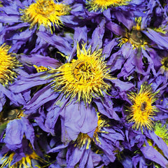 HelloYoung 100g Dried Loose Blue Lotus Flower Herbal Tea Nymphaea Caerulea Savigny