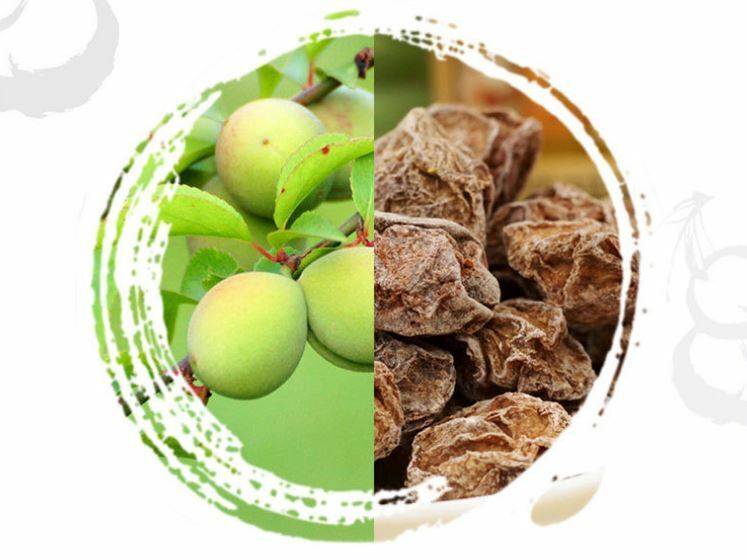 Sour & Sweet Chinese Specialty Asian Food Fruit Snack 3 Preserved Dried Plum