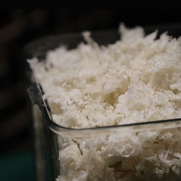 HelloYoung 50g atural Swallow Bird Nest Bird's Nest Indonesia AAAA High Quality 燕窝 燕碎 燕条 Secondary image