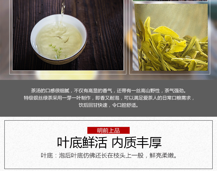 Organic Early Spring Snowy Mountain Maofeng Wild Silver Tips Yunnan Green Tea