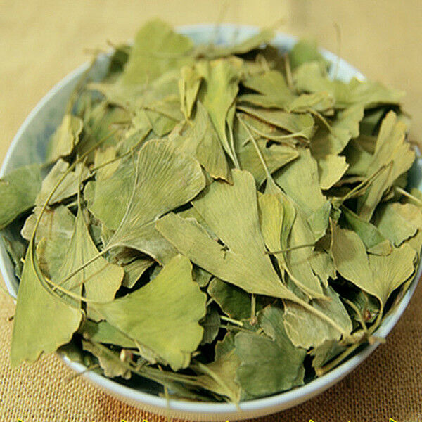 HelloYoung Dried Ginkgo Biloba Leaf Tea Health Pure Natural Anti-aging Green Chinese Herbal