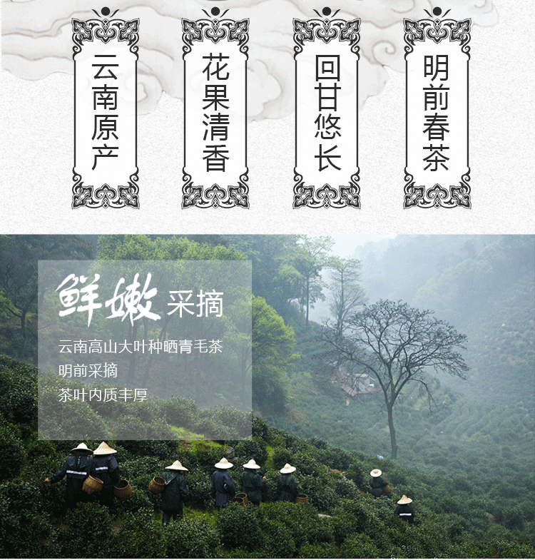 HelloYoung Yunnan Plateau Organic Supreme Bi Luo Chun Pre-Ming Snail Spring Green Tea 250g