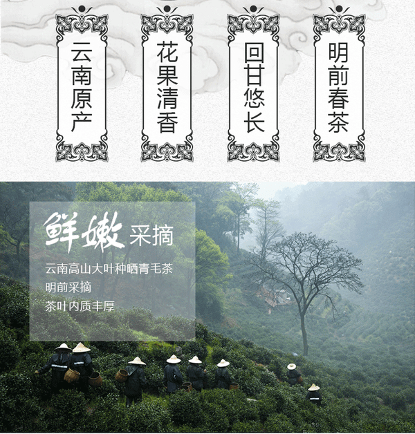 HelloYoung Yunnan Plateau Organic Supreme Bi Luo Chun Pre-Ming Snail Spring Green Tea 250g