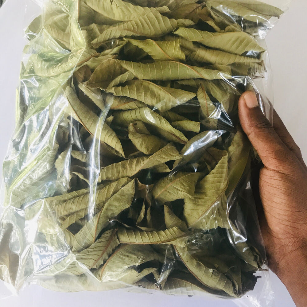 Premium Dried Guava Leaves - Hojas De Guayaba, 50g to 500g