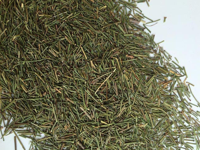HelloYoung Mu Mo My Huang Erengy Tea Instead of Coffee Main image