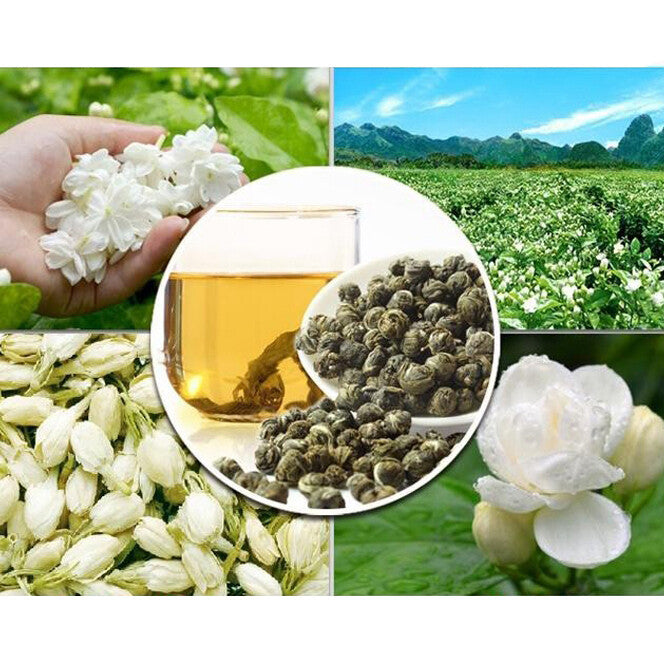 Perle Jasmin Dragon Ball Tee Chinesischer Bio Grüner Tee Loses Blatt 1LB (500g)