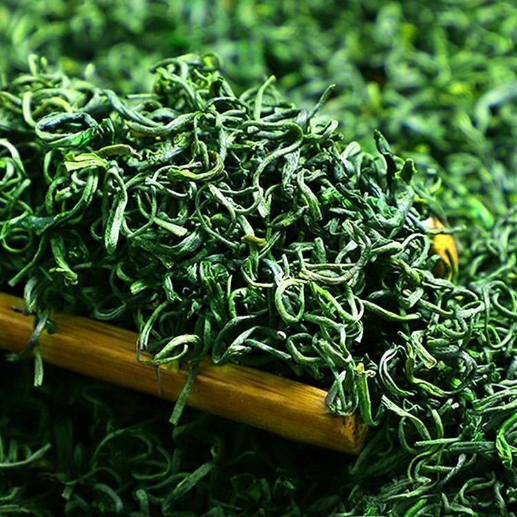 HelloYoung Yunwu Maojian Green Loose Leaf High Mountain Tea Green 250g