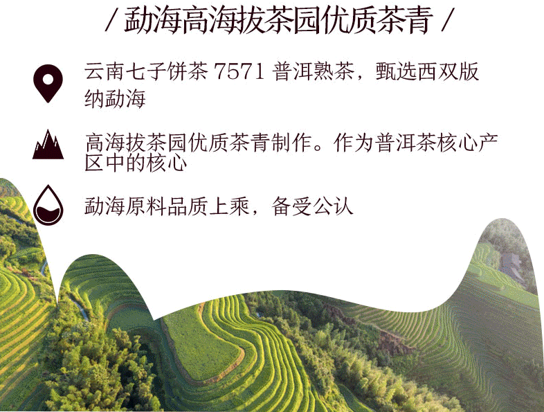 HelloYoung CHINATEA Brand Classic 7571 Pu-erh Tea Cake 357g Pu'er Ripe Puer Zhongcha
