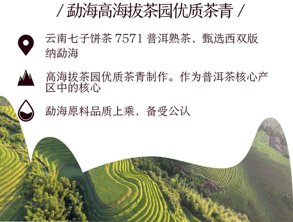 HelloYoung CHINATEA Brand Classic 7571 Pu-erh Tea Cake 357g Pu'er Ripe Puer Zhongcha