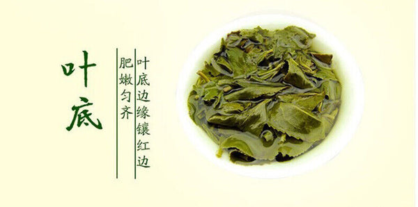 HelloYoung Yunnan Jibian Teng Chong Organic High Mountain Oolong Tea 250g Altitude 2300 M