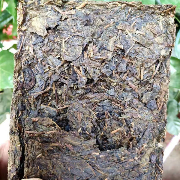 HelloYoung Golden Leaf Puerh Sheng Tea Yunnan Old Tree Pu-erh Tea 250g Pu'er Tea Brick