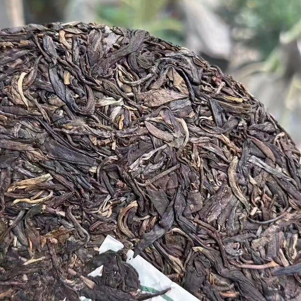 Gâteau de thé Pu'erh du Aegd 357g Mansong vieux thé Pu'er cru, Pu'er authentique