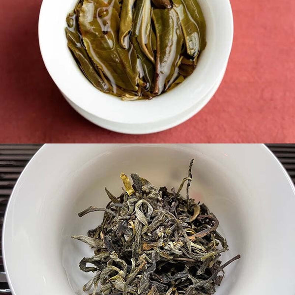 Haiwan Tea 2023 Sheng Puerh 7548 Batch 231 Raw Pu Erh Tea 357g