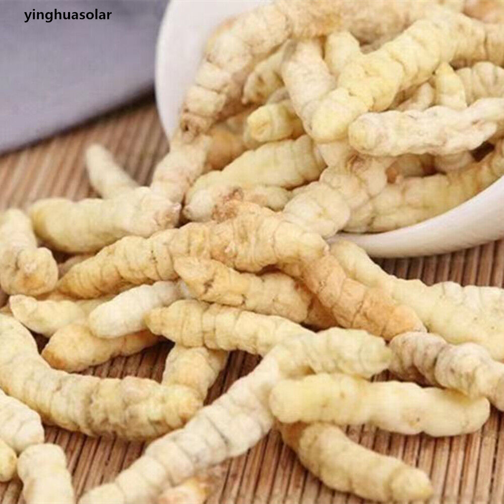Organic Stachys Affinis Chinese Artichoke 초석잠 500g Insomnia Frequent Micturition