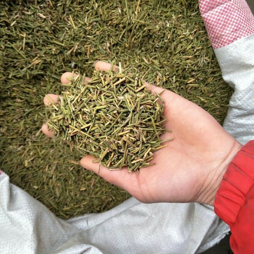 HelloYoung Organic Wild Green MuHuang Tea Powder Mu Huang Herbal Mohuang Free Shipping