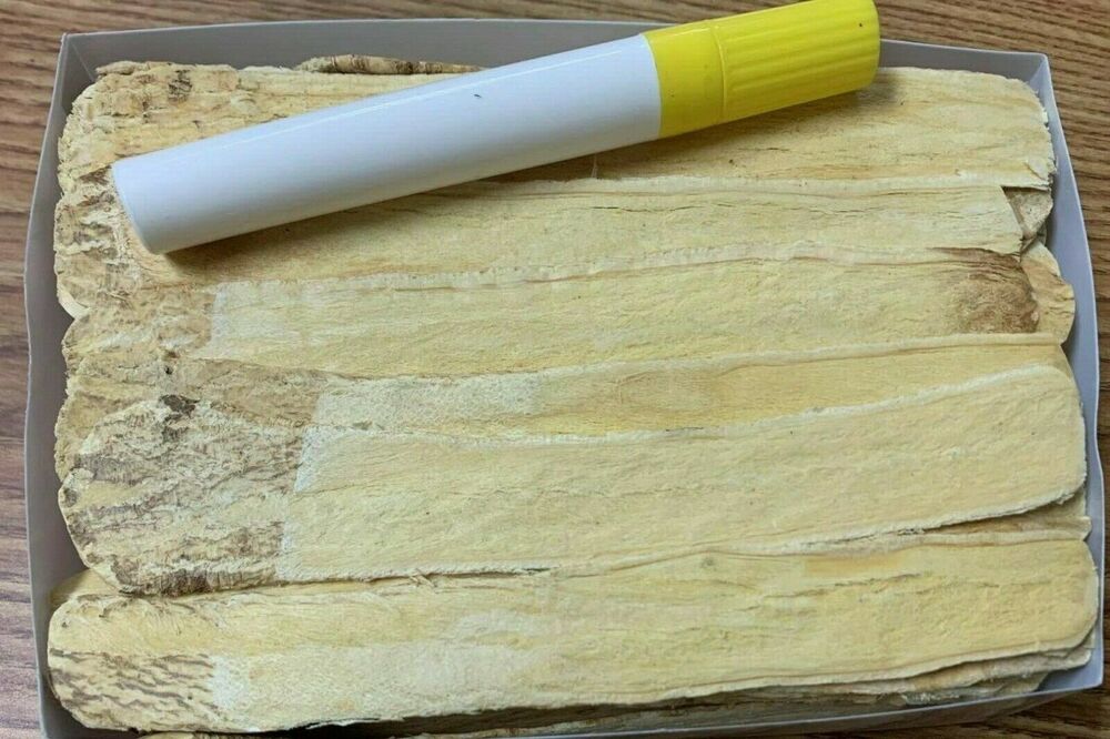 Large Radix Astragali(slice)大北祈片- good quality and price 12 OZ Secondary image