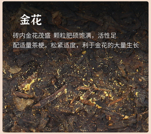 HelloYoung Anhua Dark Tea BaiShaxi 1939 Gold Flower Tea Brick 3 Years Aged Tian Fu Tea 1kg