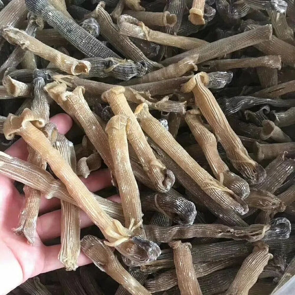 Dried seafood 50 gram Top quality New Precious Sipunculus nudus sandworm