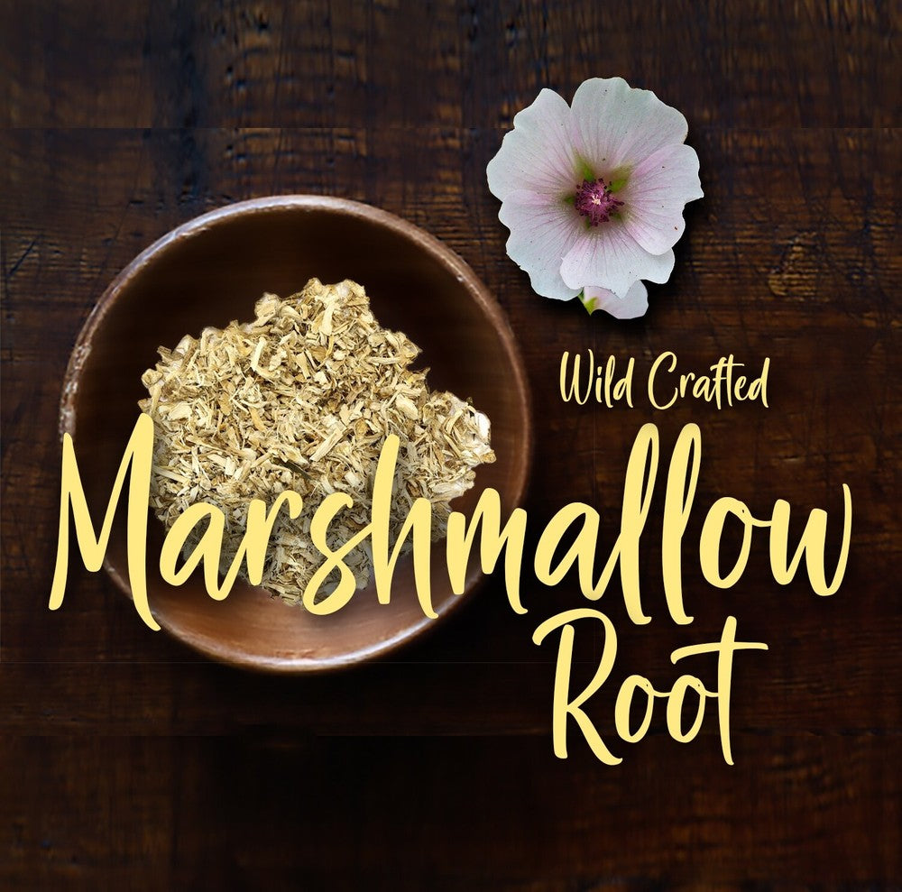Marshmallow Root Extract Powder - Natural Althaea Apothecary