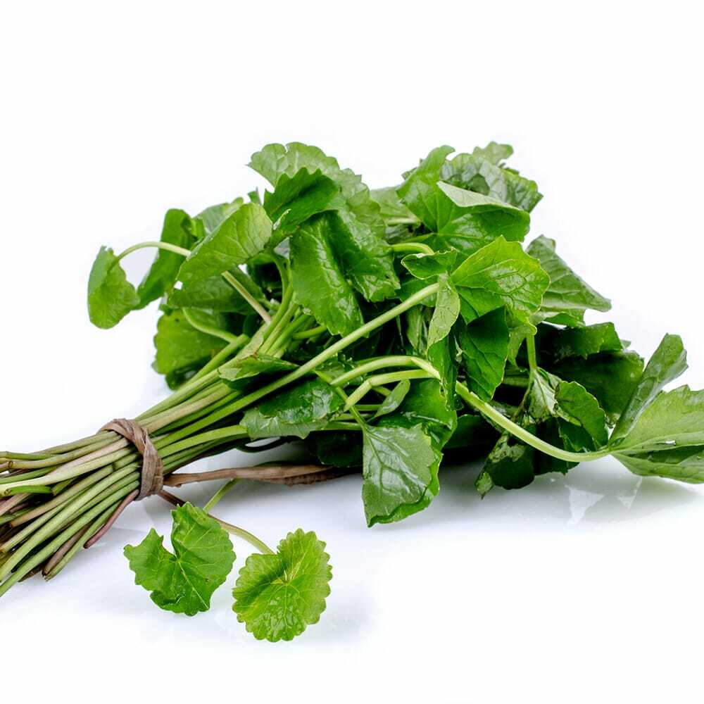 Gotukola,Brain Booster Organic Pure Dried Centella Asiatica Leaves Ground Powder Secondary image