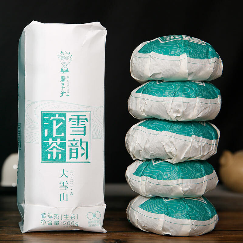 HelloYoung Lincang Big Snow Mountain * DR. PU'ER TEA Xueyun Tuocha Puer Raw Tea 500g Main image