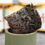 HelloYoung Year Supreme Bamboo Bingdao Ancient Pu'er Puerh Tea Yunnan Puer Ripe 500g