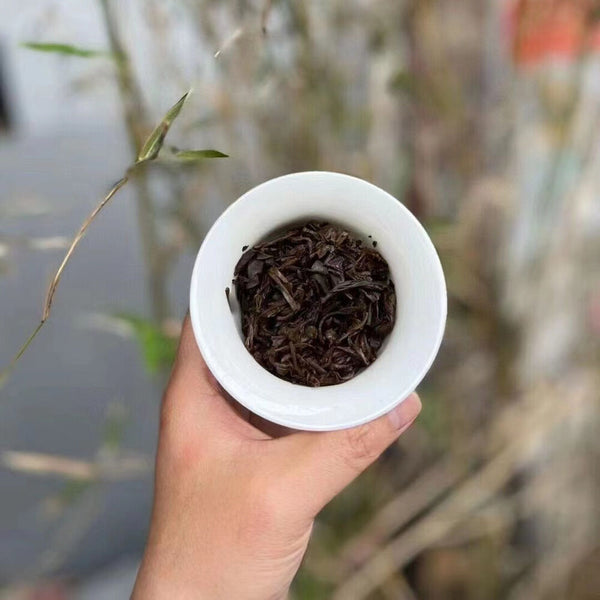 357g Yunnan Raw Pu-erh Old Tea Cake Jiangcheng Puerh Tea Aged Pu'er Raw Tea