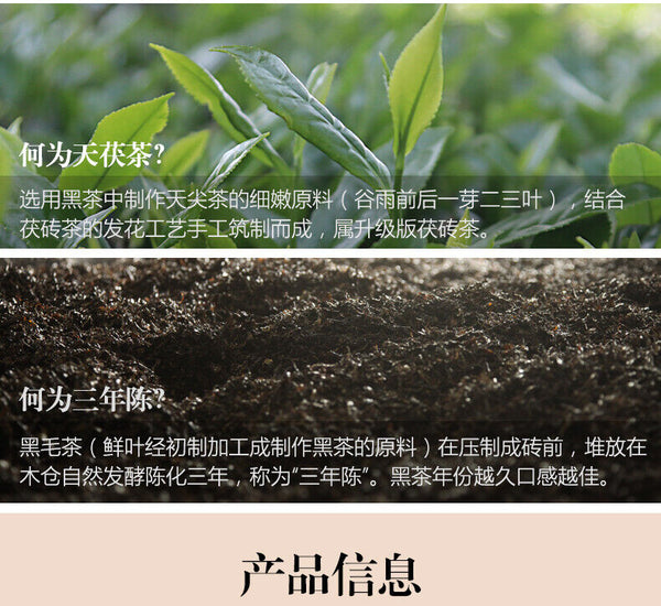 HelloYoung Anhua Dark Tea BaiShaxi 1939 Gold Flower Tea Brick 3 Years Aged Tian Fu Tea 1kg