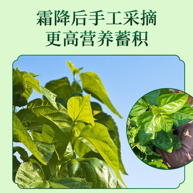 105g TongRenTang Mulberry leaf tea 同仁堂桑叶茶105g(5g*21) 正宗霜后桑叶 养生茶代用茶 NEW Secondary image