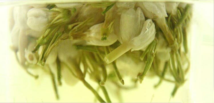 Floral Dried Buds Herbal Natural Fragrance Tea Organic Jasmine Flower Tea