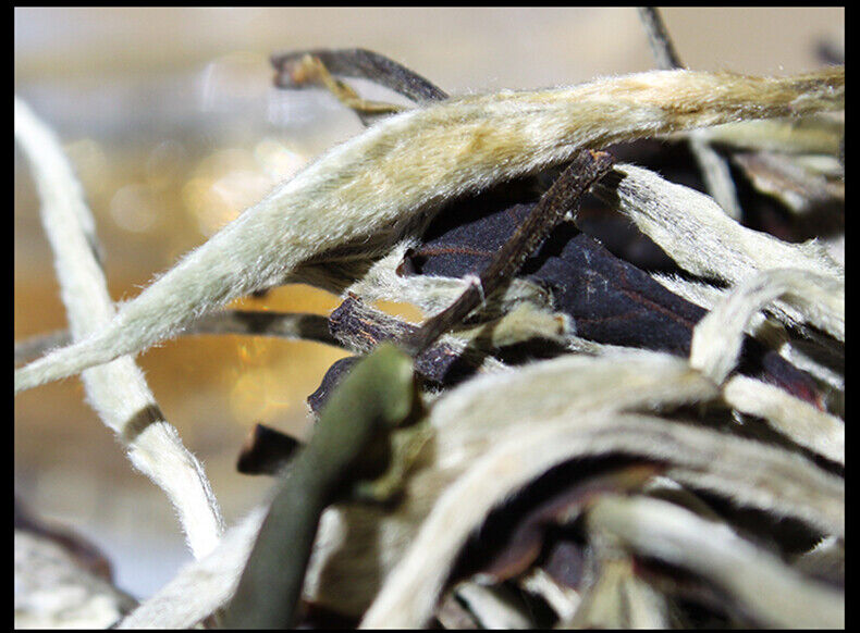 HelloYoung Yunnan Jing Gu Puer Moonlight White Buds Pu'er Puerh Loose Tea Raw 100g/3.52oz