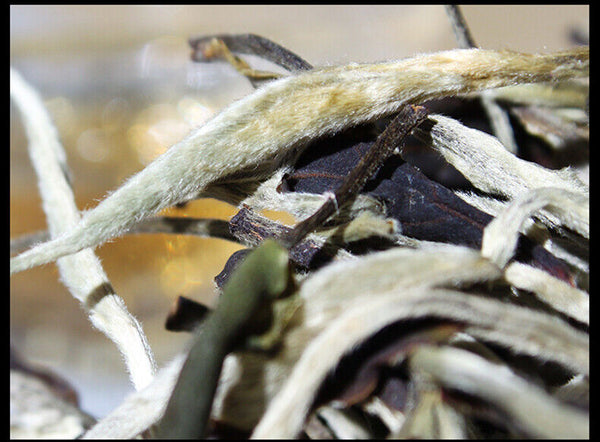 HelloYoung Yunnan Jing Gu Puer Moonlight White Buds Pu'er Puerh Loose Tea Raw 100g/3.52oz