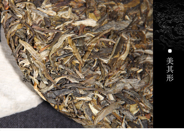 400g Haiwan Old Comrade Liangyuan Raw Tea Cake Yunnan Pu'er Tea