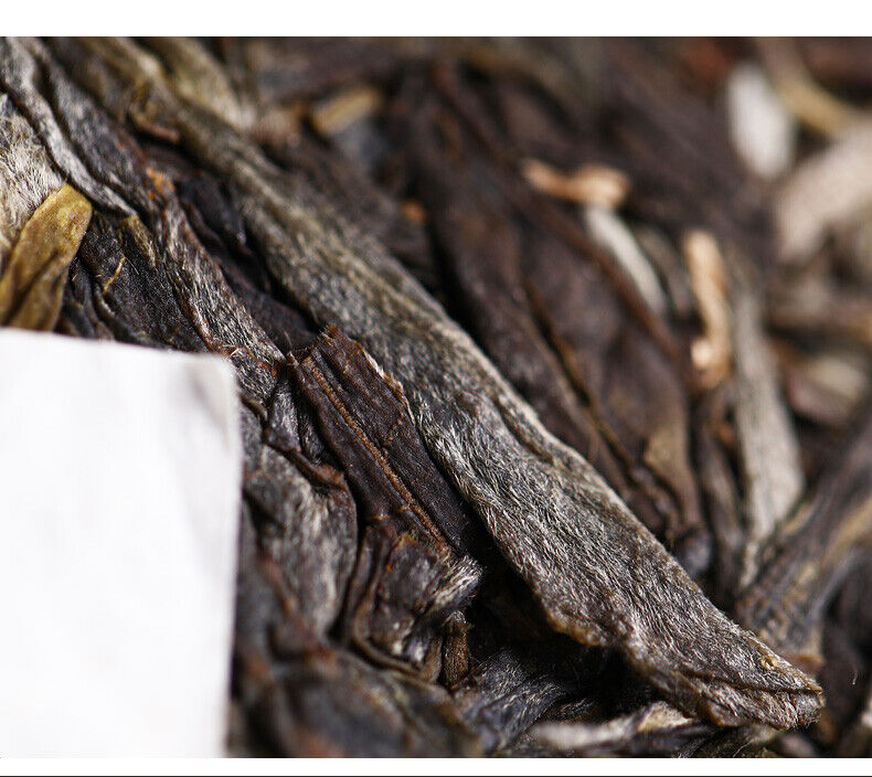 HelloYoung Haiwan Yi Wu Zheng Shan Shen Puer Tea Ma Hei Famous Old Tree Raw Pu'er 500g