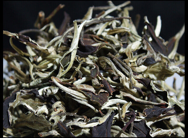 HelloYoung Yunnan Jing Gu Puer Moonlight White Buds Pu'er Puerh Loose Tea Raw 100g/3.52oz