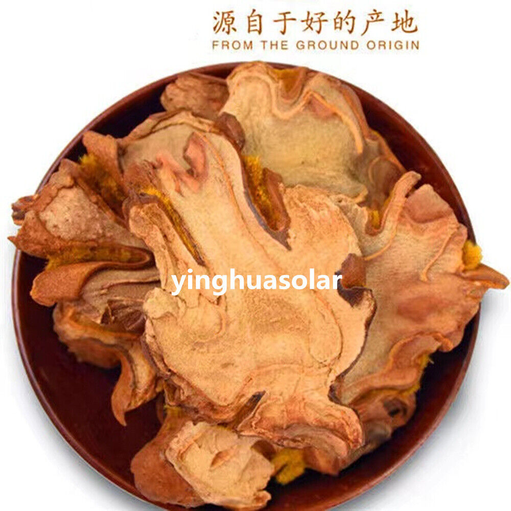 7oz 特级 金狗脊 狗脊 金毛狗脊犬片 中药材 Rhizoma Cibotii Cibotium Barometz 强腰膝祛风湿固肾气下肢酸软无力遗精起夜尿频